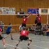 volleybal_londerzeel.jpg