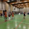 Basketbalploeg Bavi Vilvoorde op bezoek bij Asse-Ternat