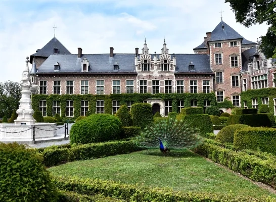 binnentuin_kasteel_gaasbeek.jpg