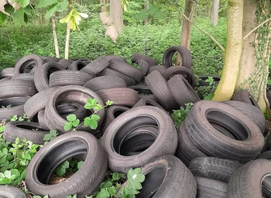 Banden Hallerbos Banden Hallerbos