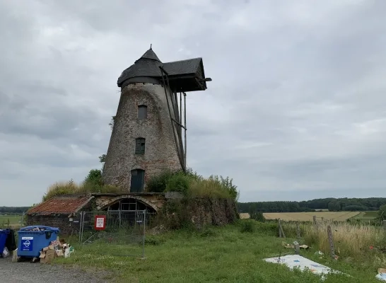 molen_hondzocht.jpg