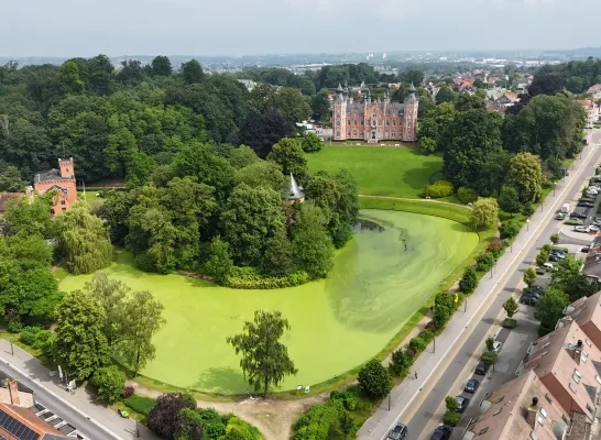De vijver aan het gemeentehuis van Dilbeek kleurt groen De vijver aan het gemeentehuis van Dilbeek kleurt groen