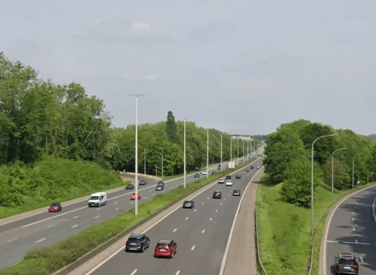 De spin werd ontdekt vlakbij het verkeersknooppunt in Sint-Stevens-Woluwe