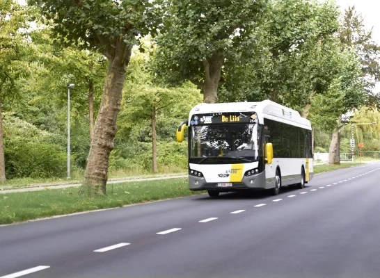 bus_delijn.jpg