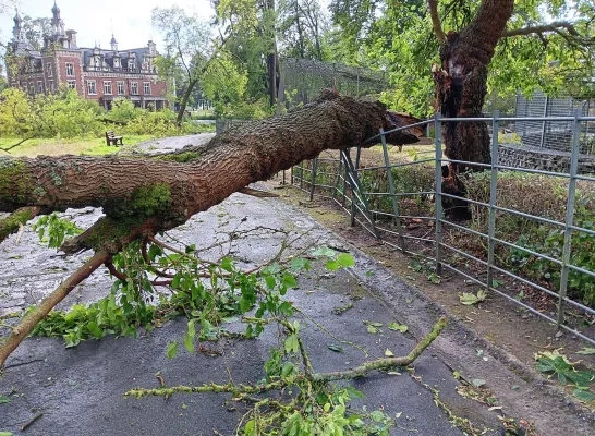 Het noodweer zorgt voor een ravage in het provinciedomein in Huizingen Het noodweer zorgt voor een ravage in het provinciedomein in Huizingen
