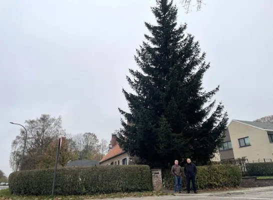 kerstboomdilbeek.jpg