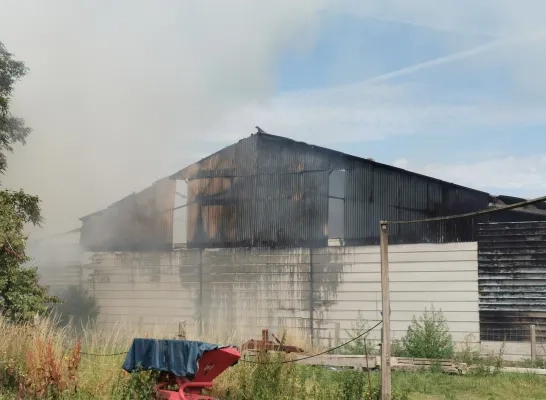 brand_landbouwloods_zemst.jpg