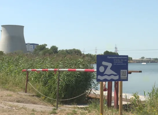zeealgen_vilvoorde_kanaal.png