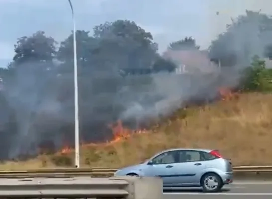 bermbrand_ring_machelen.jpg