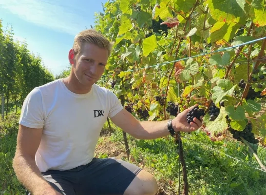 wijnboer_sam_dehandschutter_dappersveld.jpeg