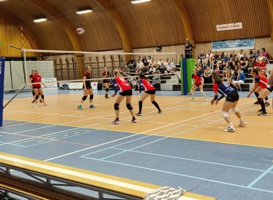 volleybal_lennik.jpg