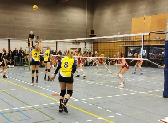 volleywolvertem.jpg