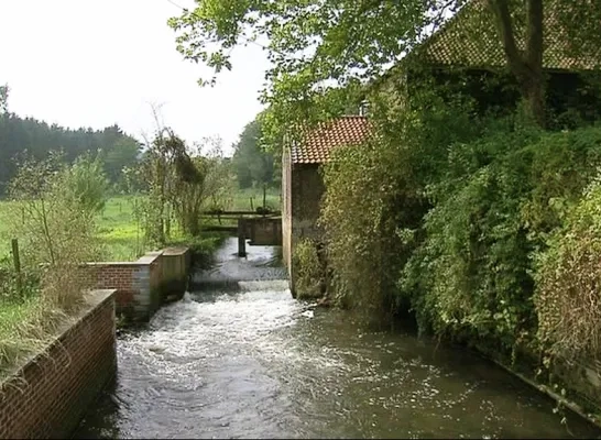 rivier_de_laan_overijse.png