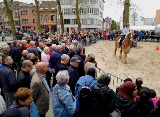 jaarmarkt_vilvoorde_paard.jpg