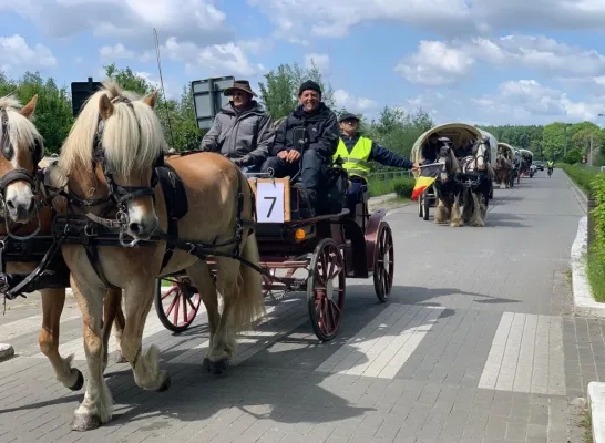 paardentocht_onstehuis.jpg