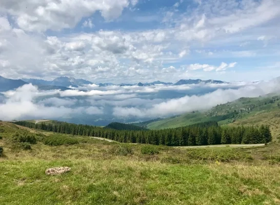 pyreneeen_unsplash.jpg