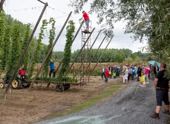 hopasten-stille-getuigen-van-een-rijk-hopverleden-2.jpeg