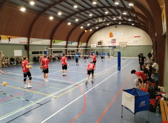 volleybal.jpeg