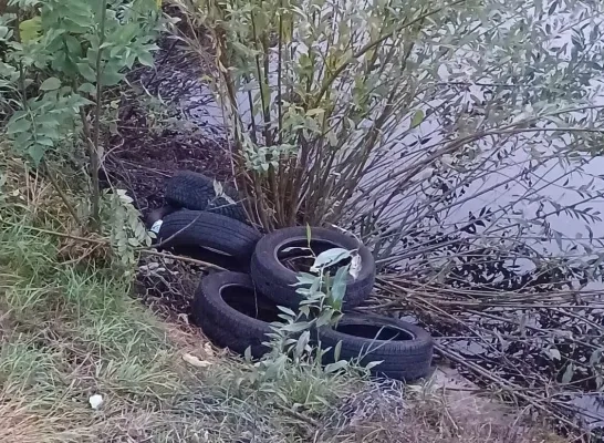banden_vogelzangvijver.jpg
