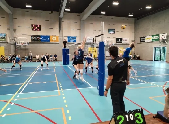 volleybal.jpeg