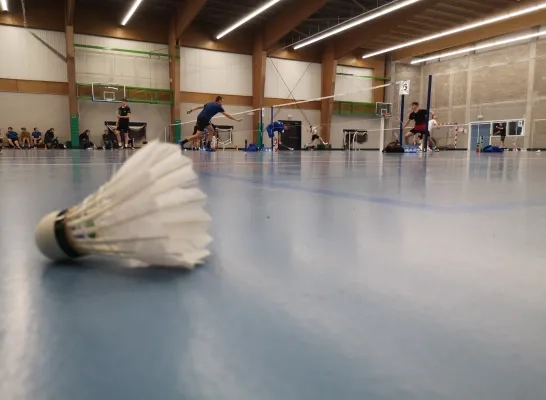 badminton.jpg