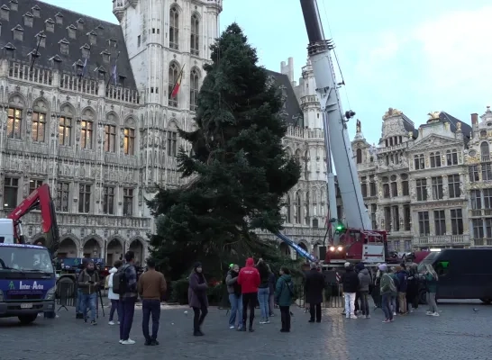 kerstboom_brussel.png