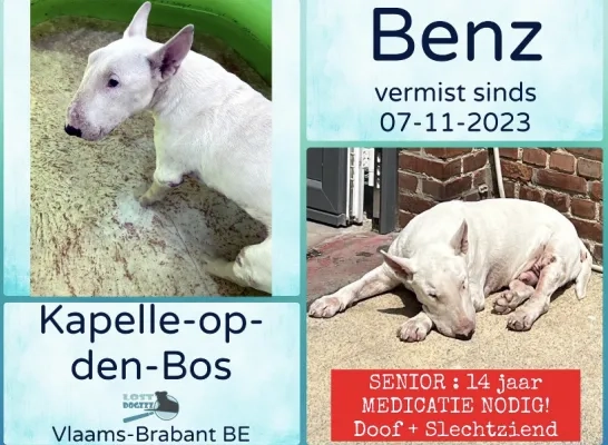 hond.png