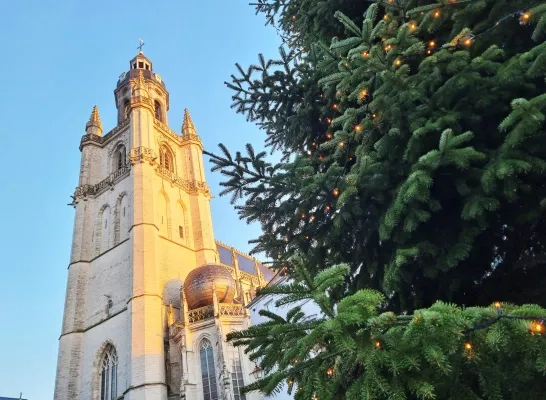 kerstboom_grotemarkt.jpg