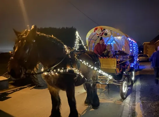 paardenparade_kampenhout.jpg