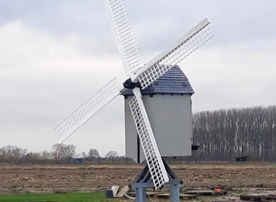 molen.jpg