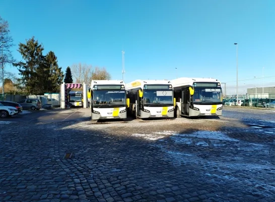 delijn_asse.jpeg