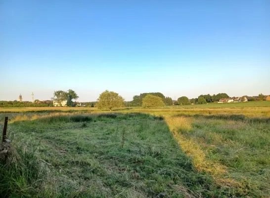 Overstromingsgebied ‘Grote Weide’ moet deel van Halle beschermen tegen wateroverlast Overstromingsgebied ‘Grote Weide’ moet deel van Halle beschermen tegen wateroverlast