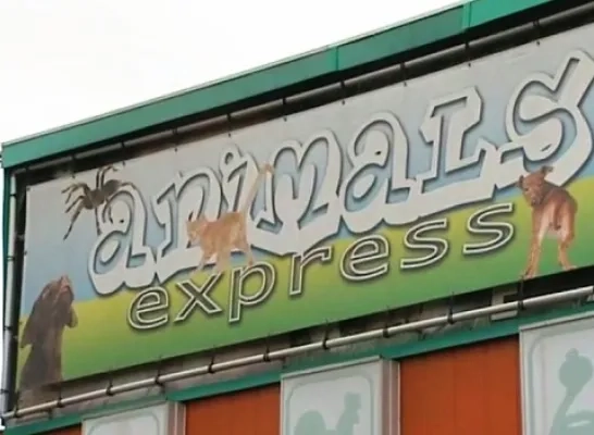 animals_express3.jpg