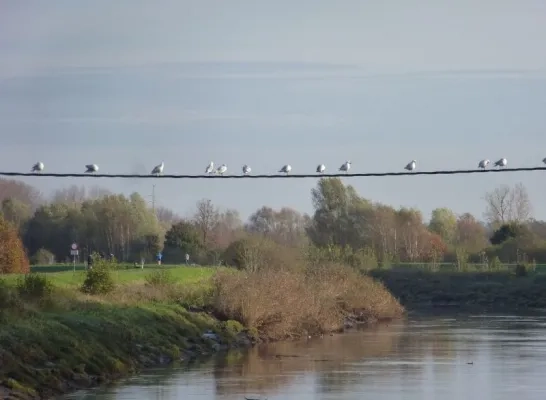 natuur_foto_l.aarts_.jpg