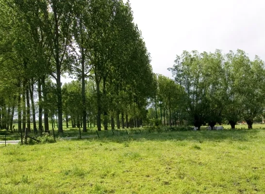 Pajottegem wordt grootste Vlaams-Brabantse gemeente Pajottegem wordt grootste Vlaams-Brabantse gemeente