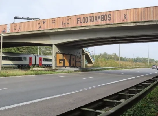 De Ravaarstraat verbindt het Floordambus met het Peutiebos De Ravaarstraat verbindt het Floordambus met het Peutiebos