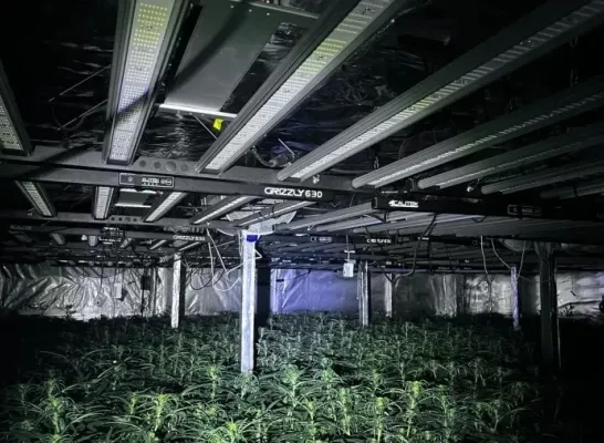 Anoniem drugsmeldpunt van de provincie ontving dit jaar 114 meldingen