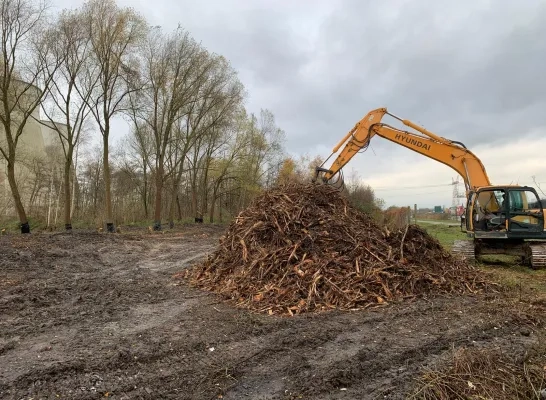 Terrein van oude kolencentrale wordt Vilvoords natuurpark