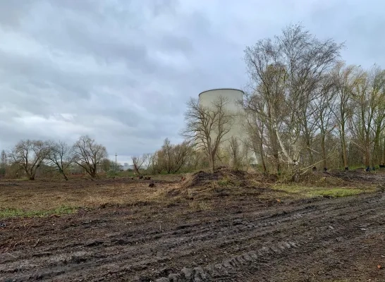 Terrein van oude kolencentrale wordt Vilvoords natuurpark