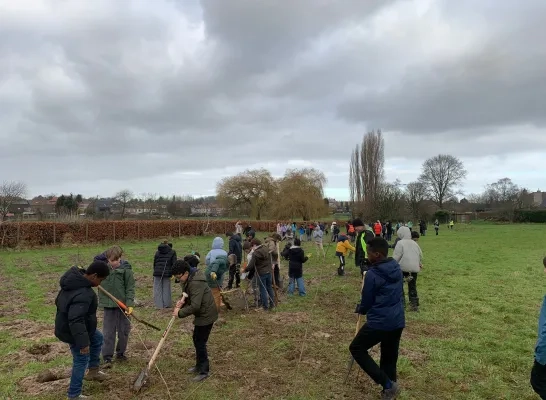 In Koningslo worden meer dan 11.000 bomen geplant In Koningslo worden meer dan 11.000 bomen geplant