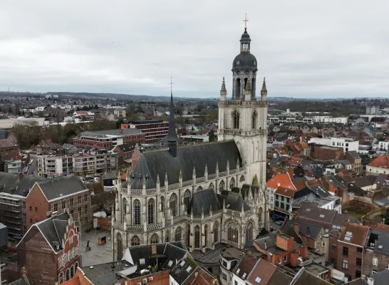 Sint-Martinusbasiliek Halle Sint-Martinusbasiliek Halle