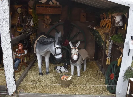 Roland uit Steenokkerzeel werkt opnieuw 2 weken aan 31ste kerststal: “Ik geef niet af” Roland uit Steenokkerzeel werkt opnieuw 2 weken aan 31ste kerststal: “Ik geef niet af”