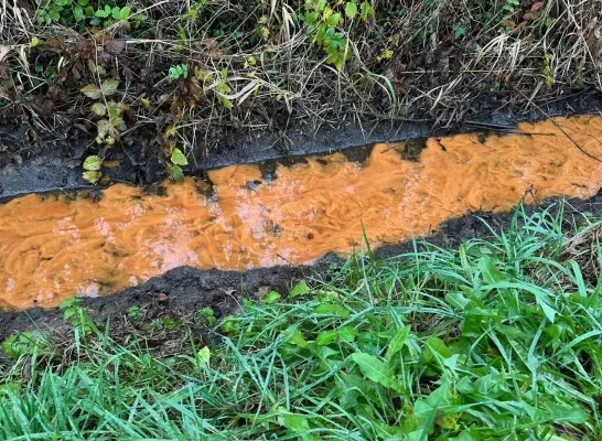 De ijzerbacterie kleurt het water bruin De ijzerbacterie kleurt het water bruin