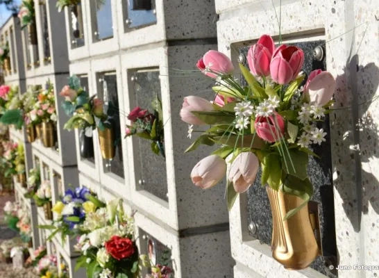 Begraafplaats Halle Begraafplaats Halle