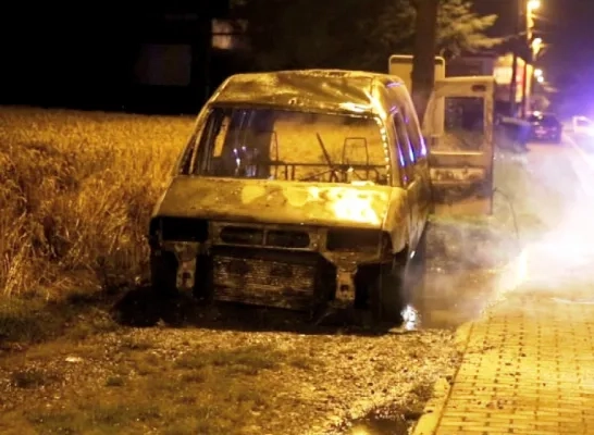 auto_in_brand.png