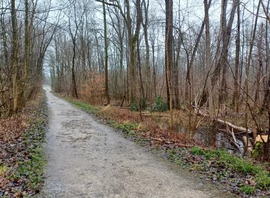 Speelbos Passiewijk Melsbroek Speelbos Passiewijk Melsbroek