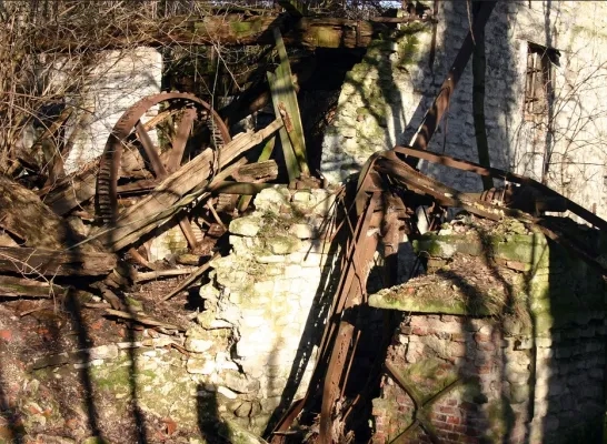 duivenmolen_foto_tijl_vereenooghe2.jpg