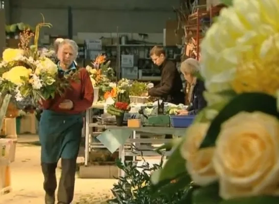 herinnering01112015.jpg