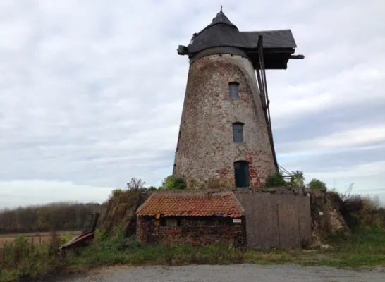 windmolen_hondzocht.jpg