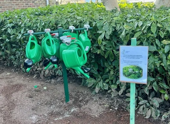 De gieterboom op de begraafplaats van Asse-centrum De gieterboom op de begraafplaats van Asse-centrum